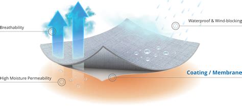 fabric water vapor permeable tester commercial|Overview of Moisture Permeability and Breathability .